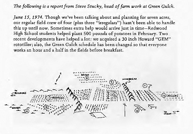 Machine generated alternative text:
The following is a report from Steve Stuck", head of fann work at Green Gulch. 
June i 5, 1974. Though we've been talking about and planning for seven acres, 
gular field Crew Of four (plus three "irregulars") hasn't been able to handle 
our re 
this up until now. Sometimes extra help would arrive just in time—Redwood 
High School students helped plant 500 pounds of potatoes in February. Two 
recent developments have helped a lot: we acquired a 30 inch Howard "GEM" 
rototilier; also, the Green Gulch schedule has been Changed so that everyone 
works an hour and a half in the fields before breakfast. 