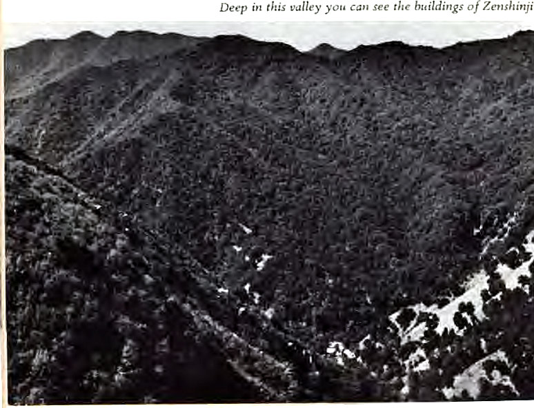 Machine generated alternative text:
Deep in this valley you can see 